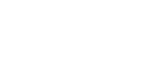 SG Wellbeing  Services
